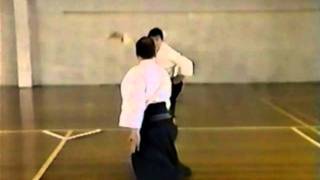 竹内流  Takenouchi Ryu Part 12 [upl. by Yeldud]