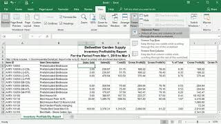 Using Freeze Panes to Keep RowColumn Headings Visible in Excel [upl. by Maurreen]