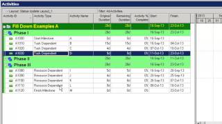 Primavera P6 Fill Down Tips [upl. by Etnuaed]