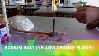 Flame Tests  Identifying Metal Ions [upl. by Merl623]