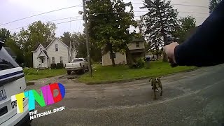 Officer shoots dog that ran at him [upl. by Nairret]