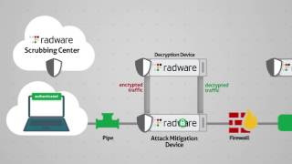 SSL Attacks amp TLS Attacks DDoS Mitigation Solutions  Radware [upl. by Eniamaj]