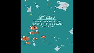 Startling Facts About Plastic Pollution In The Oceans [upl. by Lydie]