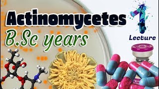 Actinomycetes  Characteristics  Importances  Identification BSc 3st year 🧫💊🔬 [upl. by Zildjian688]