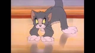 Tom And Jerry Episode 7 The Bowling Alley Cat Part 1 1942 [upl. by Alimak]