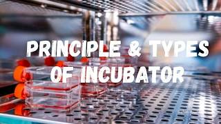 Principle and Types of Incubator [upl. by Kilan]