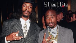 2Pac amp Snoop Dogg  Street Life NozzyE Remix [upl. by Ahsinawt]