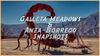 Galleta Meadows amp Anza Borrego Snapshots [upl. by Eylloh]