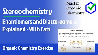 Enantiomers and Diastereomers Explained  With Cats [upl. by Feldt42]