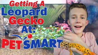 Getting a Leopard Gecko at PetSmart [upl. by Aihsaei934]