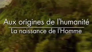 Aux origines de lhumanité  La naissance de lhomme 23 [upl. by Kenaz]