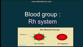 Rh blood group system [upl. by Doelling]