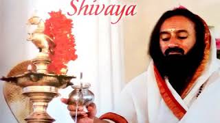 Om Namah Shivaya Chants  Gurudev Sri Sri Ravi Shankar [upl. by Assennev]