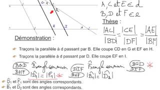 1211 Le théorème de Thalès  Démonstration [upl. by Cormac]