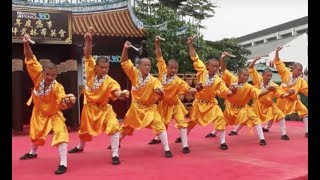 Shaolin Kungfu Masters [upl. by Yancy]