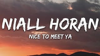 Niall Horan  Nice To Meet Ya Lyrics [upl. by Gisella]