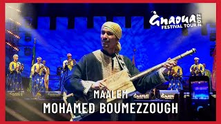 Maalem Mohamed Boumezzough  Festival Gnaoua Essaouira 2022 مهرجان كناوة الصويرة [upl. by Oneal]