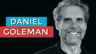 DANIEL GOLEMAN E A INTELIGÊNCIA EMOCIONAL  RODRIGO FONSECA [upl. by Ahsile581]