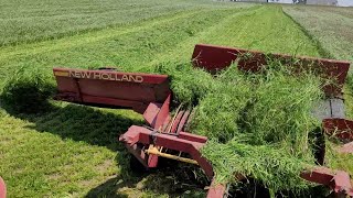 Farmer Talks  Rye vs Ryegrass [upl. by Allecsirp]