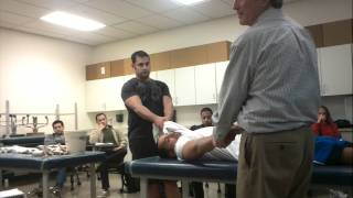 Shoulder Dislocation Hippocratic Method  Tom Demo [upl. by Mailli30]