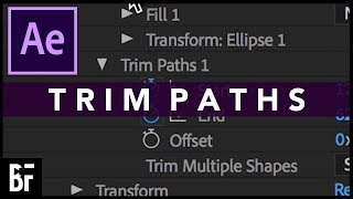 The Basics of Trim Paths in After Effects [upl. by Lavelle]