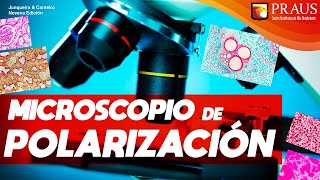 MICROSCOPIO DE POLARIZACIÓN [upl. by Jamey756]