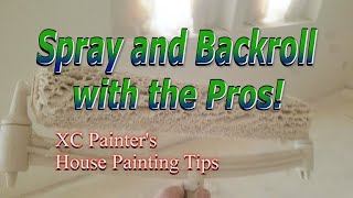 Spray and Backroll with the Pros  Interior Painting [upl. by Anelet315]