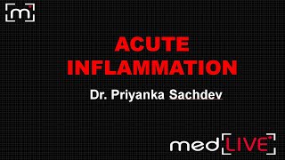 Acute inflammation [upl. by Esined]