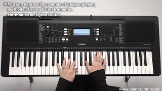 Yamaha PSR E373 EW310 Tutorial [upl. by Llien]