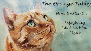 Start a Painting How to Watercolor Cat Eyes  Trace Mask Whiskers Wet in Wet Background More [upl. by Esnohpla]