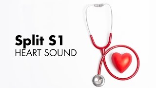 Split S1  Heart Sounds  MEDZCOOL [upl. by Phio840]