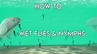 Using Wet Flies amp Nymphs  How To [upl. by Anjela599]