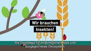 Wir brauchen Insekten [upl. by Latrice]