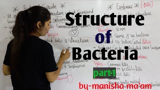 Structure of Bacteria  in hindi Bacteriology  By Manisha Maam  Microbiology [upl. by Zetnahs]