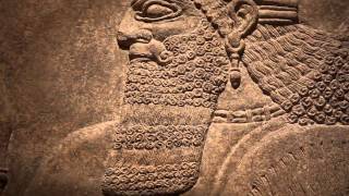 Assyrian Relief from the Palace of Ashurnasirpal II [upl. by Corbett]