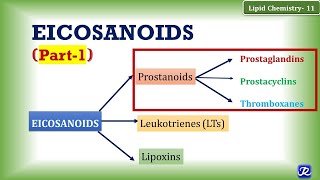 11 Eicosanoids Part 1 Prostanoids Prostaglandin Prostacyclin Thromboxane  Lipid Chemistry11 [upl. by Slack]