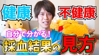 【解説】採血の検査結果の読み方を教えます！ [upl. by Sayette]