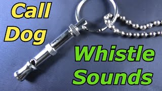 Dog Whistle Sound to Call Dog [upl. by Emelyne]