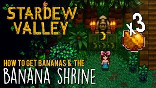 How to Complete the Banana Shrine on Ginger Island in Stardew Valley  Earn 3 Golden Walnuts fast [upl. by Den216]