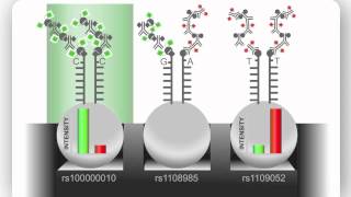 Illumina Infinium Assay An Overview [upl. by Podvin]