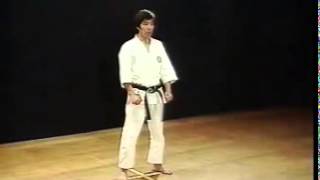 Heian Shodan  Shotokan SKIF  Hirokazu Kanazawa [upl. by Carpio]