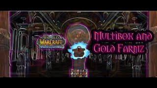 WoW WotLK 335a  MultiBox Gold Farm [upl. by Sedicla]