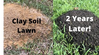 Improve Your Clay Soil Lawn  CRAZY PROOF from Fire Ants [upl. by Squires94]