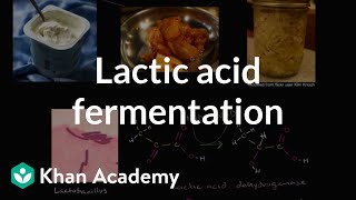 Making Concentrated 68 Nitric Acid [upl. by Nehtiek]