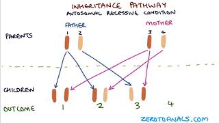 Understanding Autosomal Dominant and Autosomal Recessive Inheritance [upl. by Kerek931]