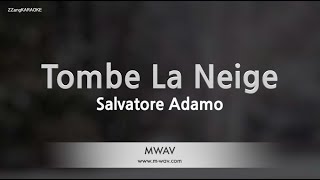 Salvatore AdamoTombe La Neige Karaoke Version [upl. by Australia]