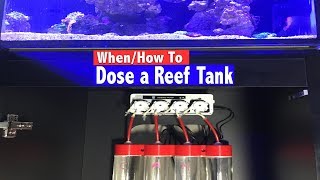 How To Dose a Reef Tank  When do you know you need to dose [upl. by Neellok]