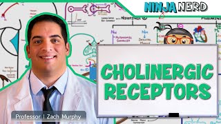 Neurology  Cholinergic Receptors [upl. by Duaner559]