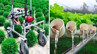 INGENIOUS AGRICULTURAL IDEAS AND INVENTIONS FOR MAXIMUM PRODUCTIVITY [upl. by Vannie]