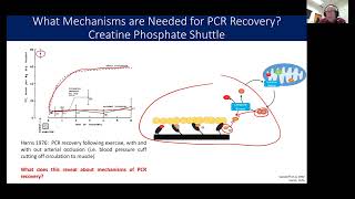 How is Phosphocreatine recovered [upl. by Anuahsat]